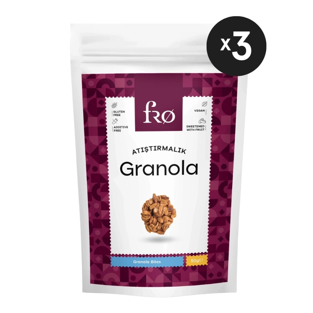 FRO 3'lü Atıştırmalık Granola Vegan Glutensiz Şekersiz Atıştırmalık Sağlıklı Ara Öğün Granola